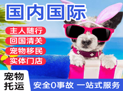 盐城南洋机场物流国际宠物托运 【国